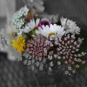 Meet your Posher, Menka